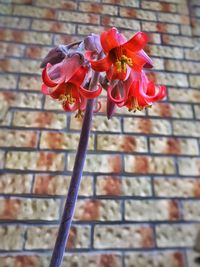 Close-up view of brick wall