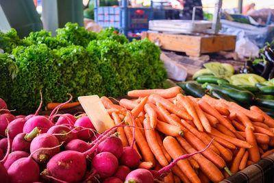 Radishes, carrots and seasonal garden greens at market counter.