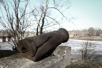 Close-up of bare tree by river against sky