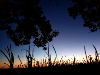 Silhouette trees on field against clear sky at sunset