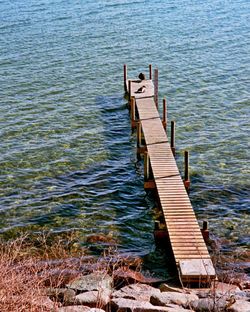 Scenic view of water