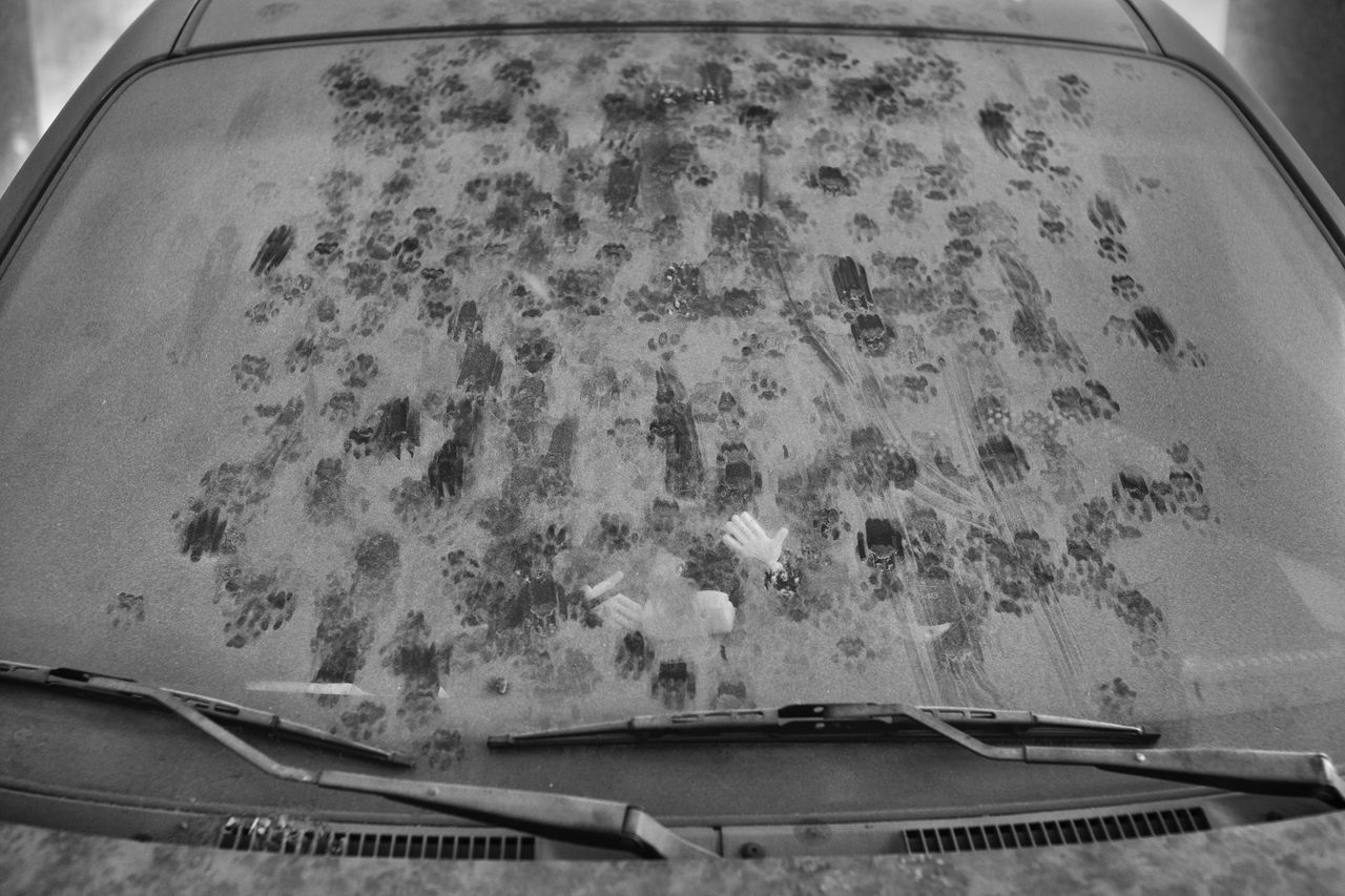 HIGH ANGLE VIEW OF CAR ON SNOW COVERED GLASS