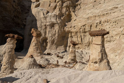 Utah toadstools