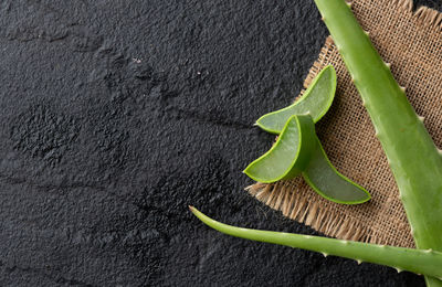 Close-up of green leaves