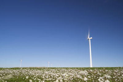 Windmills for renewable electric energy production in spain.