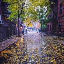 Wet sidewalk in city at night