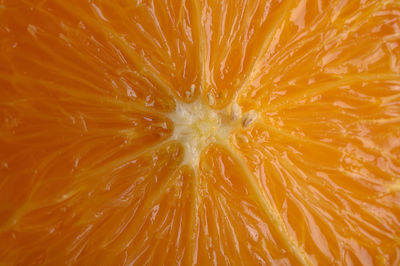 Full frame shot of orange