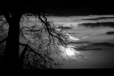 Low angle view of silhouette bare tree against sky at sunset