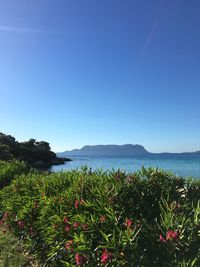 Scenic view of sea against clear blue sky