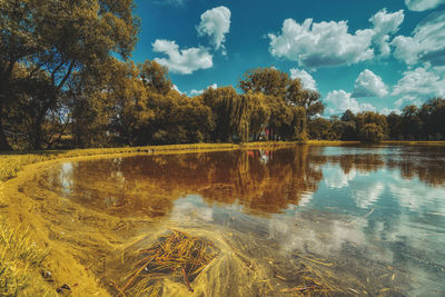 Scenic view of lake by trees against sky