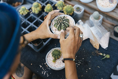 High angle view of cropped hand holding potted plant at botanical garden