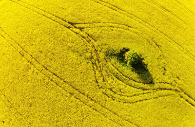 Full frame shot of a field