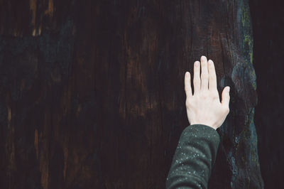 Cropped hand of woman touching tree trunk at sequoia national park