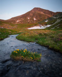 Morning light over the peaks on rodnei mountains 