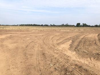 Scenic view of agricultural field against sky