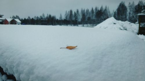 Snow on field against sky during winter