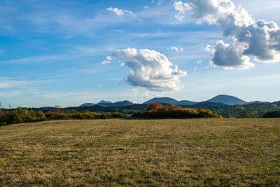 Scenic view of field against sky