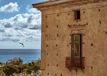 Bird flying over sea against sky