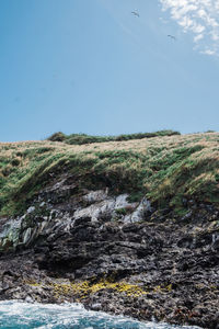 Scenic view of landscape against clear sky