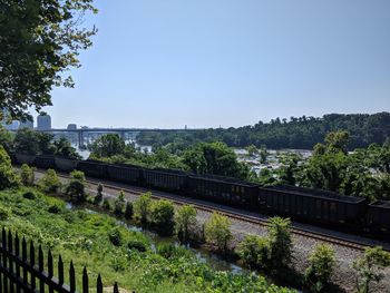 Train passing through trees against clear sky