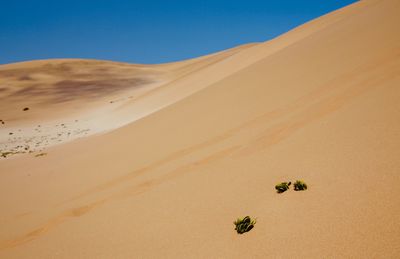 Scenic view of desert against clear sky