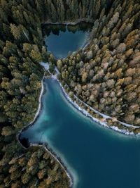 Aerial view of lake amidst trees