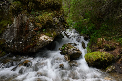 Stream flowing through rocks in forest