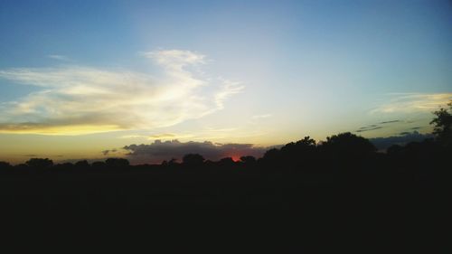 Silhouette trees against sky during sunset