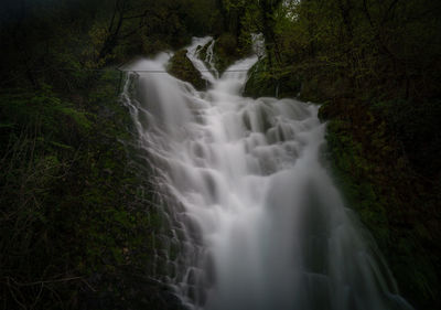 Scenic view of waterfall in forest