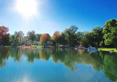 Reflection of trees in water