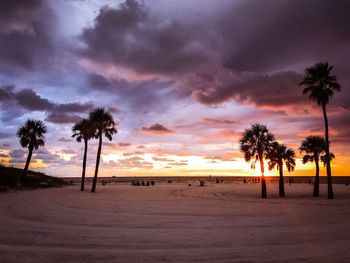 Palm trees on beach against sky at sunset