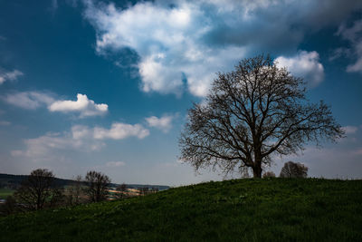 Trees on field against cloudy sky