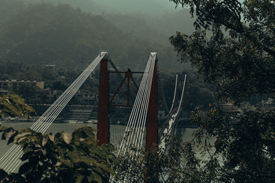 High angle view of bridge against trees
