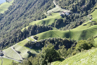 High angle view of trees on landscape