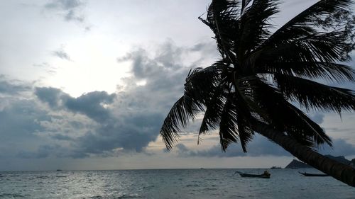 Palm tree by sea against sky