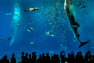 People swimming in sea