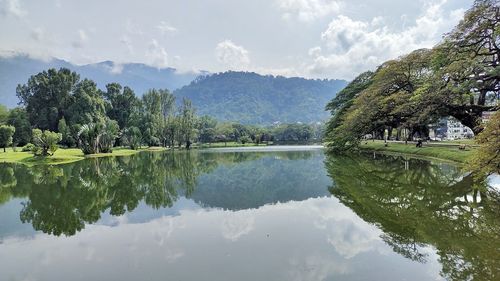 Scenic view of lake by trees against sky