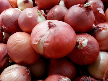 Full frame shot of pumpkins for sale