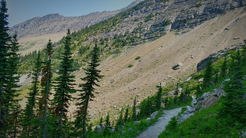 Scenic view of tree mountains against sky