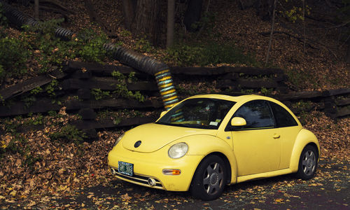 Abandoned toy car on land