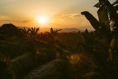 Scenic view of field against sky during sunset