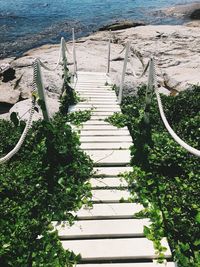 High angle view of staircase amidst trees