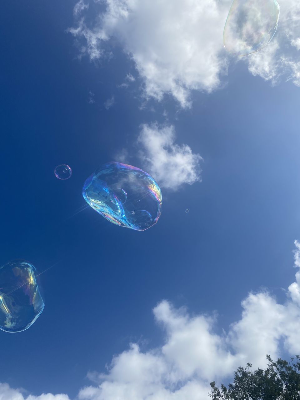 bubble, sky, cloud, mid-air, blue, nature, fragility, soap sud, flying, transparent, no people, liquid bubble, outdoors, sphere, day, environment, low angle view, lightweight, water, bubble wand, beauty in nature