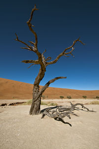Bare trees on landscape against clear sky