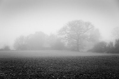 Scenic view of fog in foggy weather