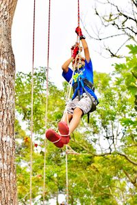 Low angle view of boy zipplining in forest