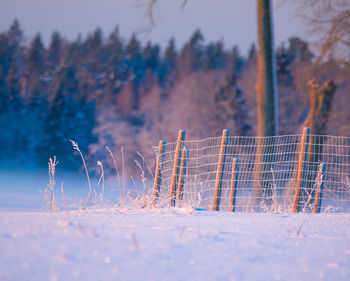 A beautiful winter landscape during sunrise from a low perspective.