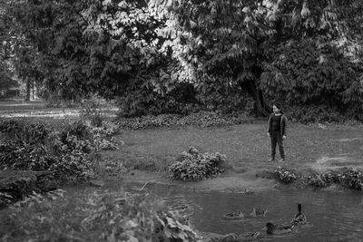 Rear view of man standing by lake in forest