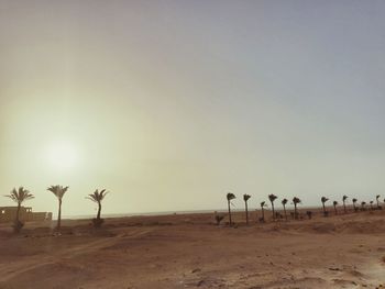 Scenic view of beach against clear sky