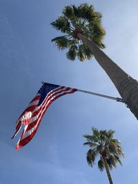 Low angle view of palm tree against blue sky